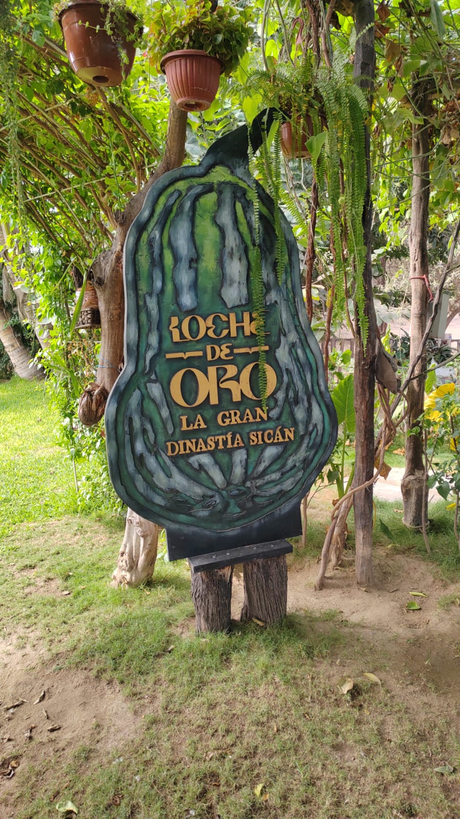 Letrero Loche de Oro, la gran dinastía Sicán, rodeado de vegetación